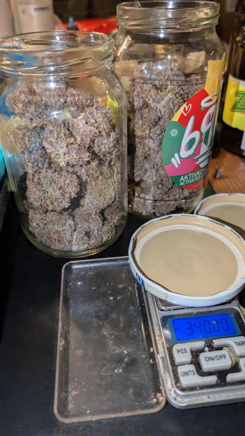 Last Auto Run. Week 13