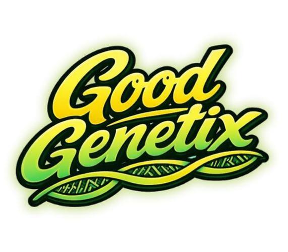 The G-Wagon Autoflower WorldCup 26. Week 5