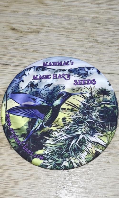 Original Haze and Oldtimers Haze