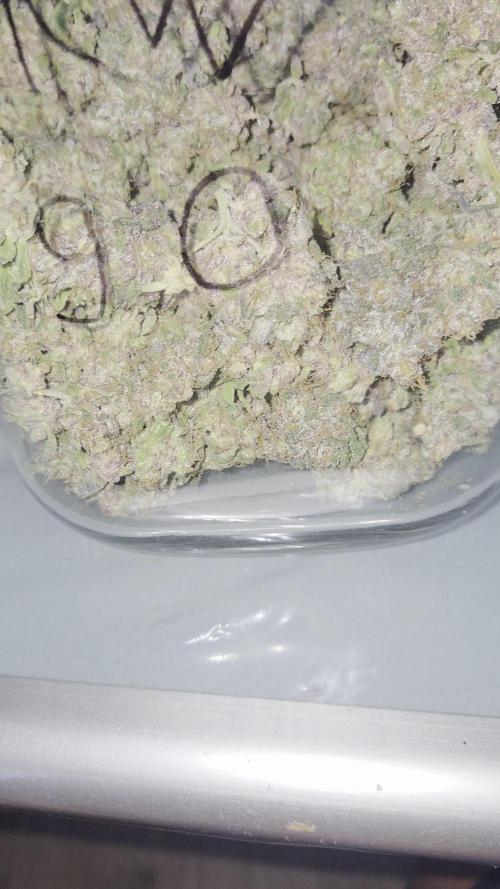 001salutation