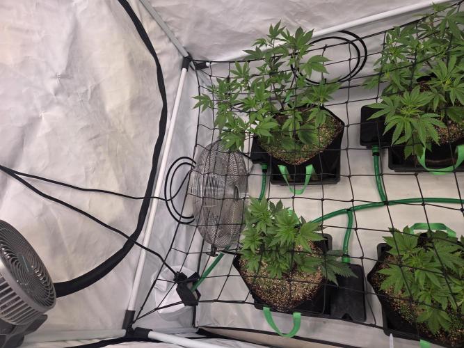 Test Ethos. Week 9