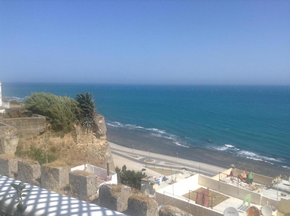 Strawberry Gorilla. Week 0