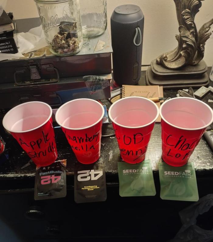 Autos In living Soil. Week 0 - 11/26
Da soak is on.