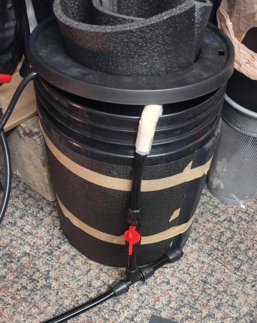 Coco Coir Training: ChocoLope Auto. Week 2 - The res and mainline 