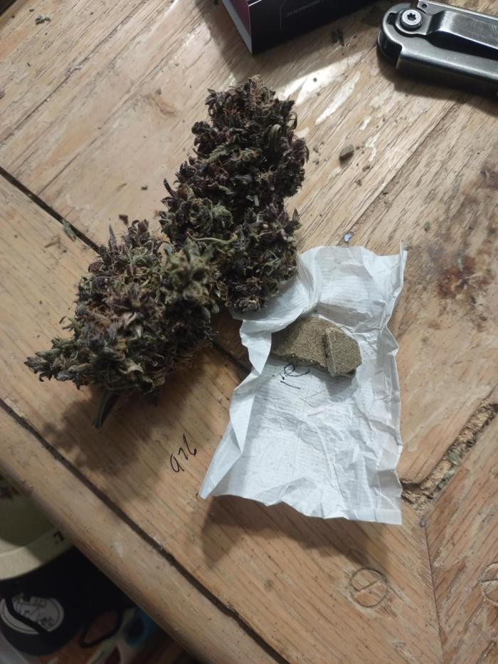 Autos In living Soil. Week 21 - Larfy and premature. Shame there wasn't enough time.