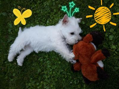 Comment by Kushycat photo #1