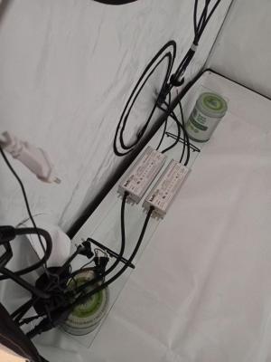 Comment by Kushycat photo #1