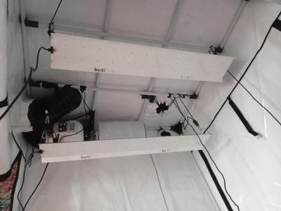 Comment by Kushycat photo #1