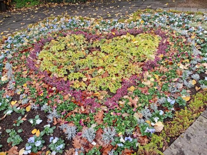 (Keine)Batzen Maybee ? Part 2. Week 13