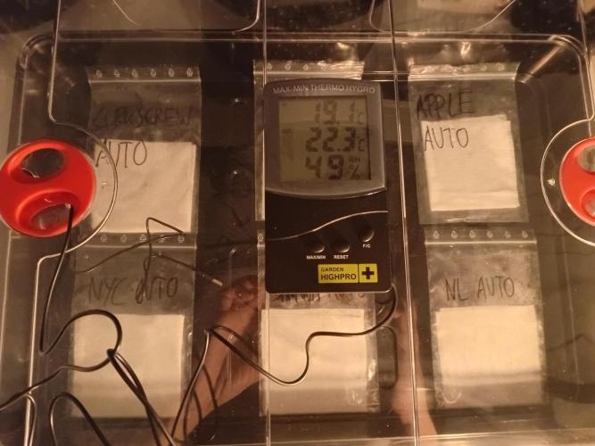 Shady indoor garden 🔥. Week 0