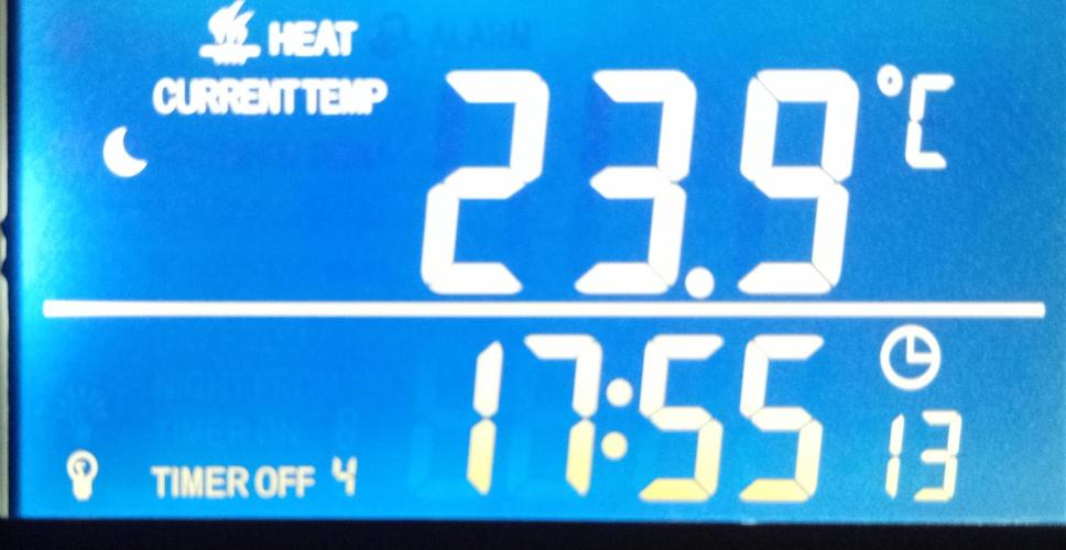 Shady indoor garden 🔥. Week 0