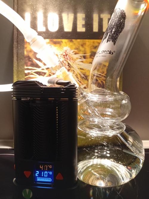 Shady indoor garden 🔥. Week 1