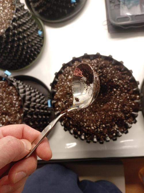 Shady indoor garden 🔥. Week 2 - My sauce spoon. Best for repotting and such.