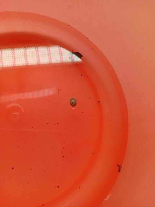 Strength and Medical Mass. Week 0 - MedicalMass