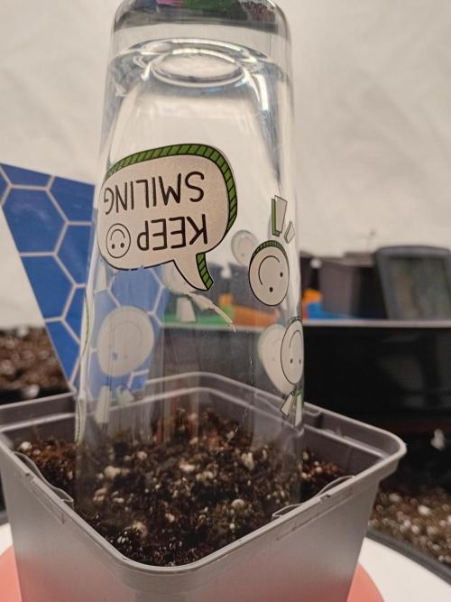 Strength and Medical Mass. Week 0 - Medical Mass