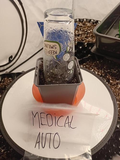 Strength and Medical Mass. Week 0 - Medical Mass