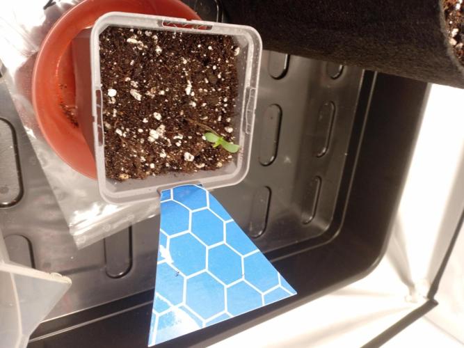 Strength and Medical Mass. Week 0 - Medical Mass