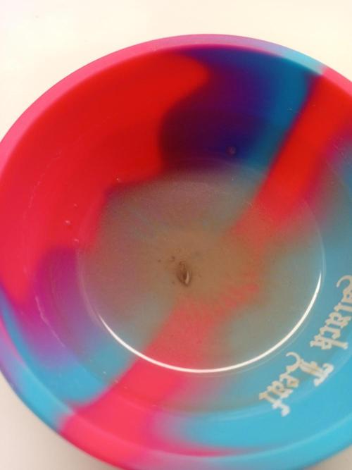 Behind the OrionF1. Week 0