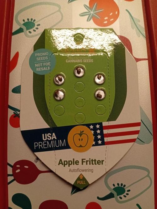 Replace me if you can. Week 0