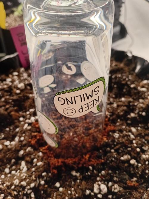 Replace me if you can. Week 0