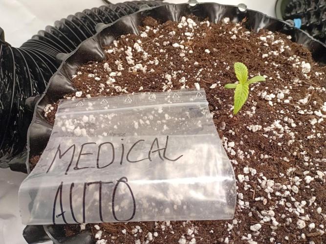 Strength and Medical Mass. Week 1