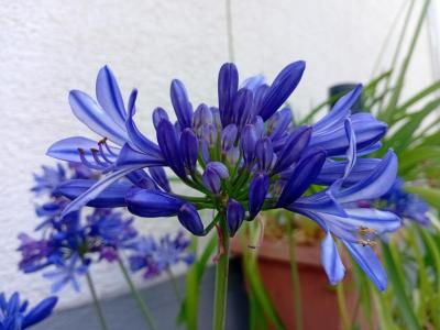 Comment by Kushycat photo #1