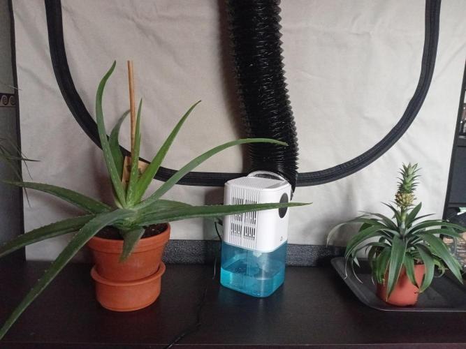 Replace me if you can. Week 5 - Out