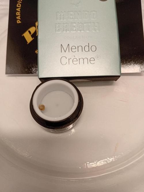 Luzid Mendo Crème Dream 🍦😺. Week 0