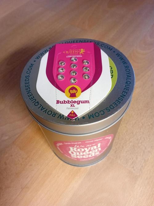 BubblegumXL op de Straaaaat. Week 0