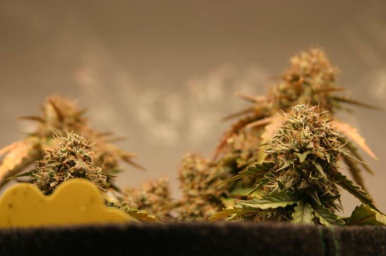 Wedding Cake Without a Bride ❤️‍?. Week 10