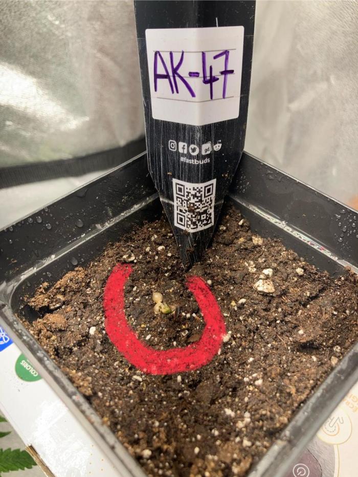 AK-47. Week 0 - Stick Up, it‘s a AK-47 !!!