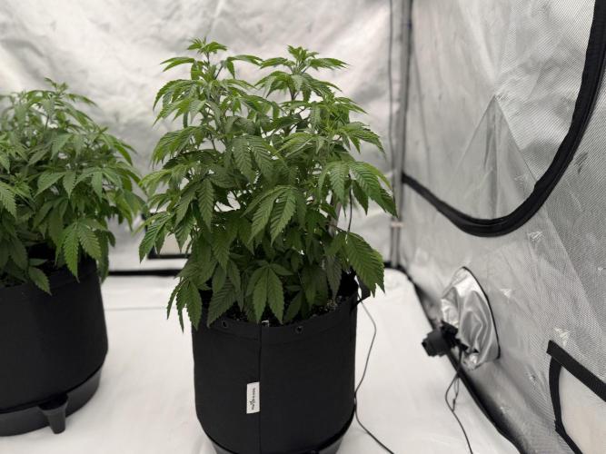 Life with us. Week 9