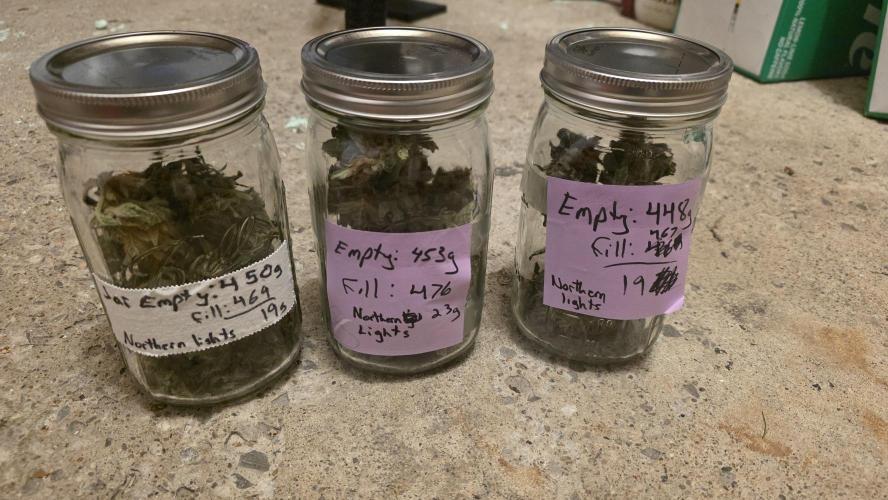 2025-Northern lights auto-Second Attempt. Week 12 - My pretties...