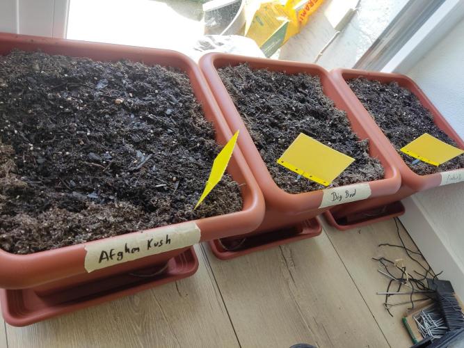2026 Grow. Week 0