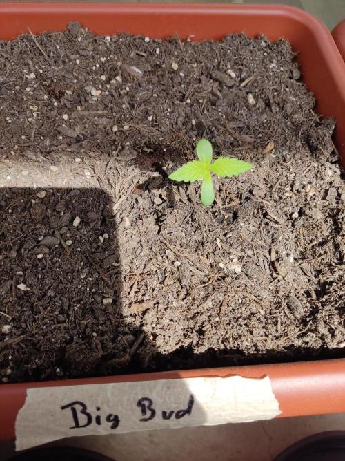 2026 Grow. Week 2