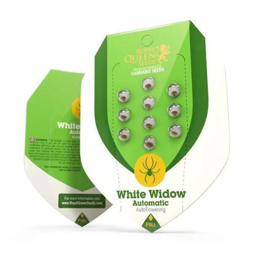 Grow Tent 2'x2' (70x70x160cm). Week 0