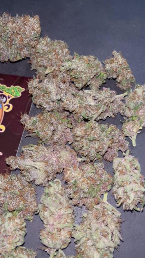 Black muffin F1. Sweetseeds
