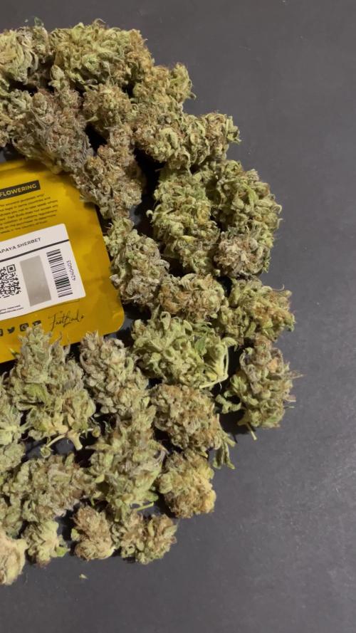 Papaya Sherbet. Fastbuds