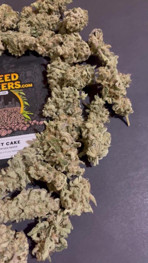Fruit Cake. Seedstockers