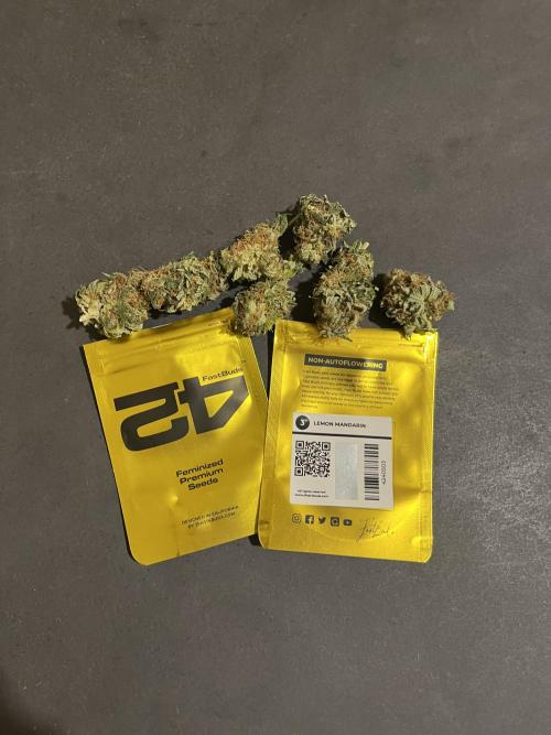 Lemon Mandarin. fastbuds. Week 15