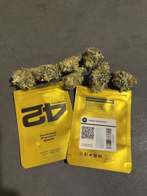 Lemon Mandarin. fastbuds. Week 15