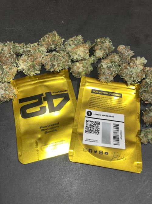 Lemon Mandarin. fastbuds. Week 15