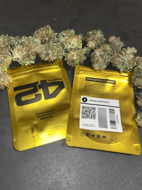 Lemon Mandarin. fastbuds. Week 15