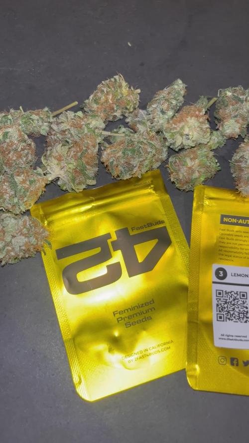 Lemon Mandarin. fastbuds