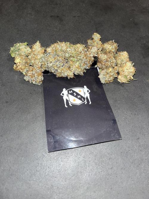 Runtz. MSNL. Week 16