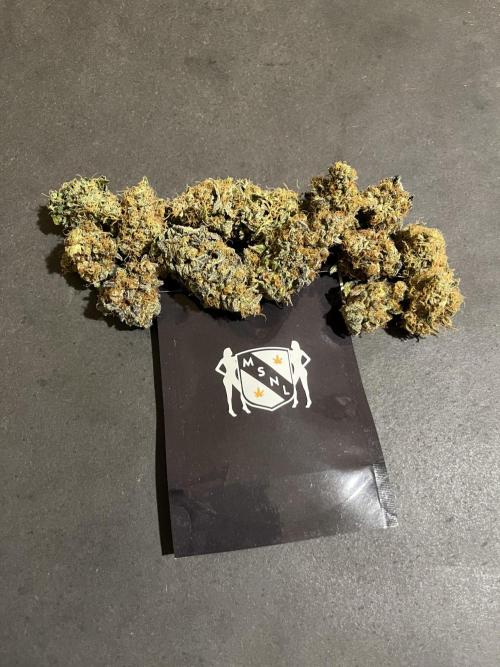 Runtz. MSNL. Week 16