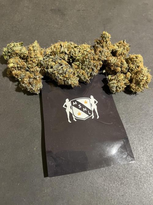 Runtz. MSNL. Week 16