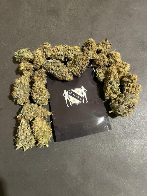 Runtz. MSNL. Week 16