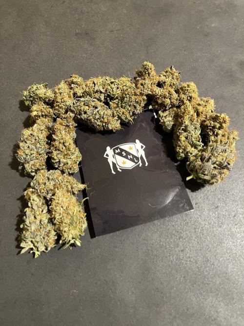 Runtz. MSNL. Week 16