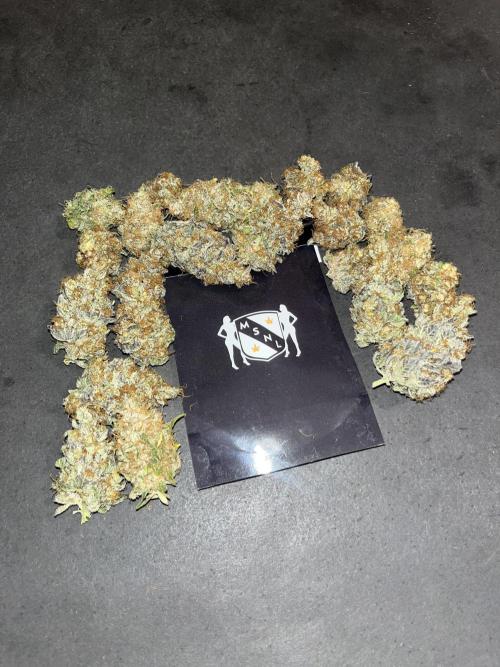 Runtz. MSNL. Week 16